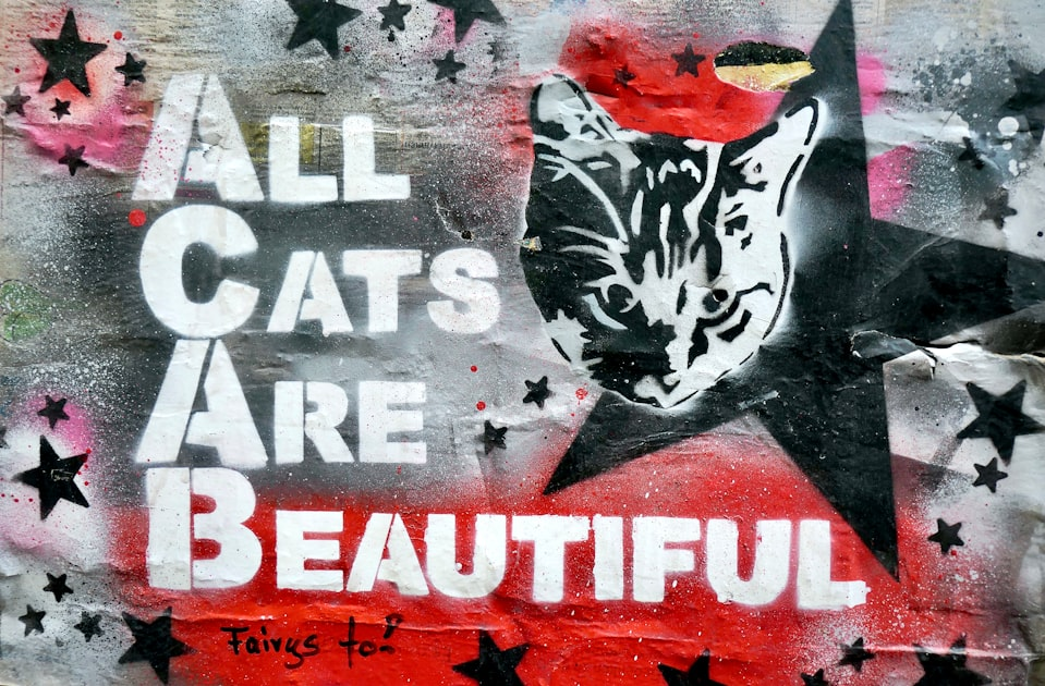 The Cat Actors Guild: A Call to Action